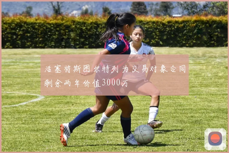 活塞将斯图尔特列为交易对象合同剩余两年价值3000万